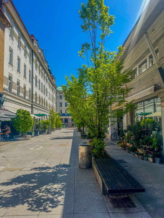 Ljubljana mesto – Center, poslovni prostor – PPP1006SD