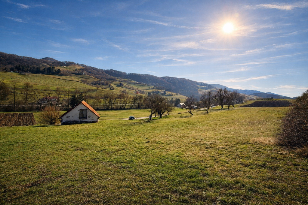 Spodnjeposavska – Trebče, posest – PP64TD