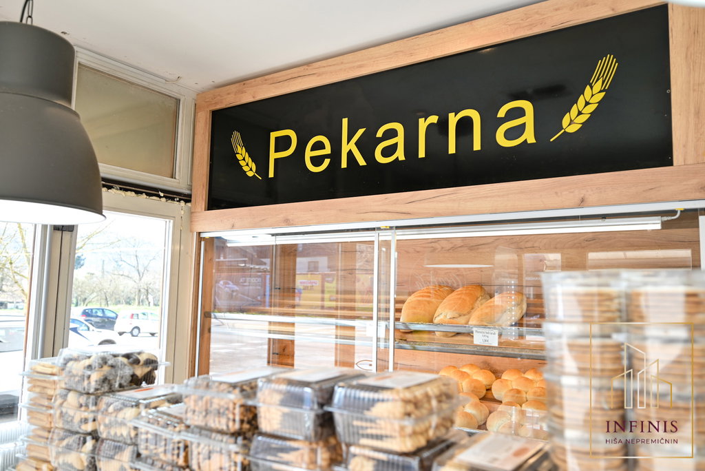 Ljubljana mesto – Bežigrad, poslovni prostor – PPO52DA