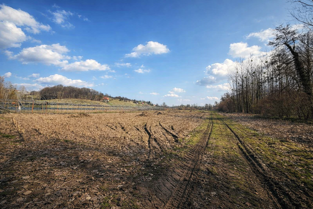 Spodnjeposavska – Trebče, posest – PP64TD