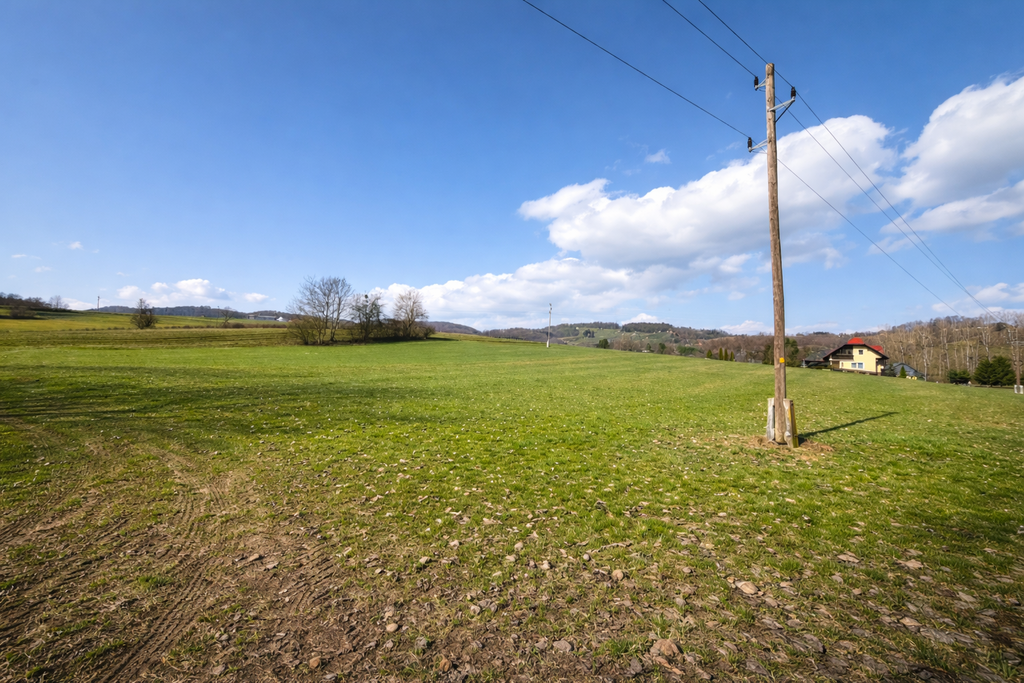 Spodnjeposavska – Trebče, posest – PP63TD