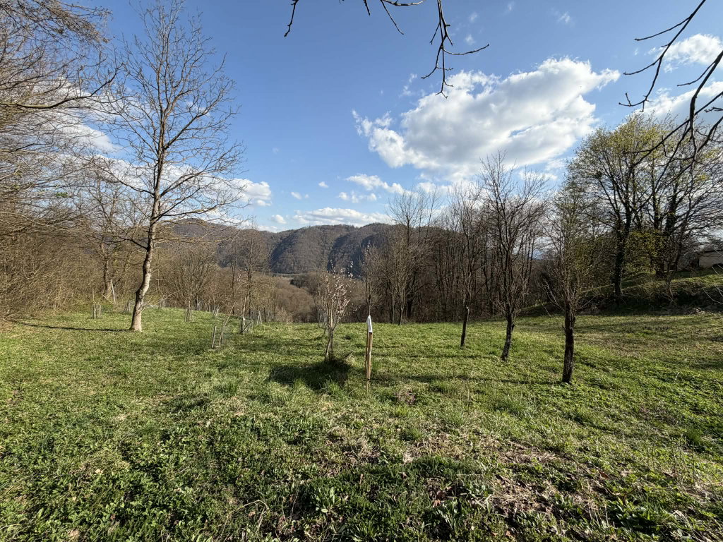 Spodnjeposavska – Trebče, posest – PP61TD