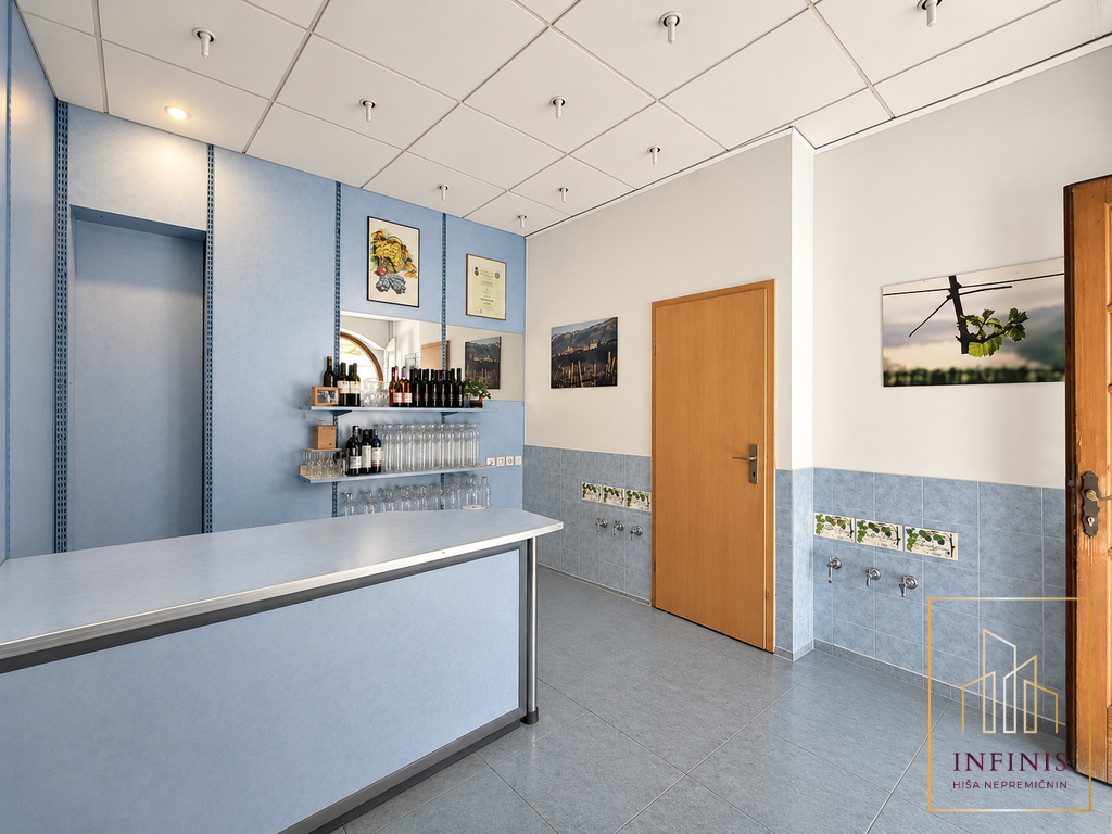 Ljubljana mesto – Šiška, poslovni prostor – PPO230DA